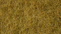 NOCH 07101 Wildgras beige, 6 mm