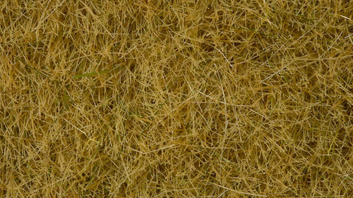 NOCH 07101 Wildgras beige, 6 mm