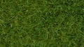 NOCH 07102 Wildgras hellgrün, 6 mm