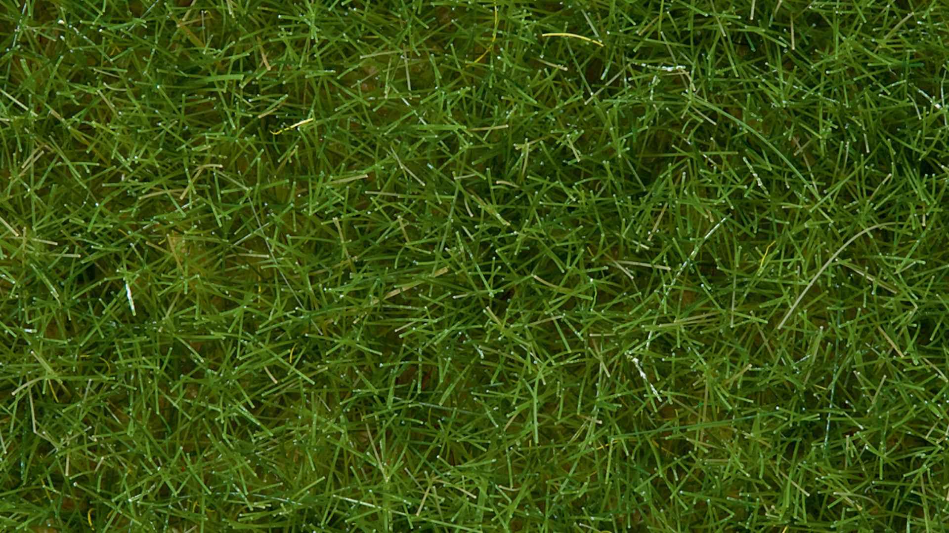 NOCH 07102 Wildgras hellgrün, 6 mm