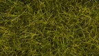 NOCH 07110 Wildgras XL "Wiese", 12 mm