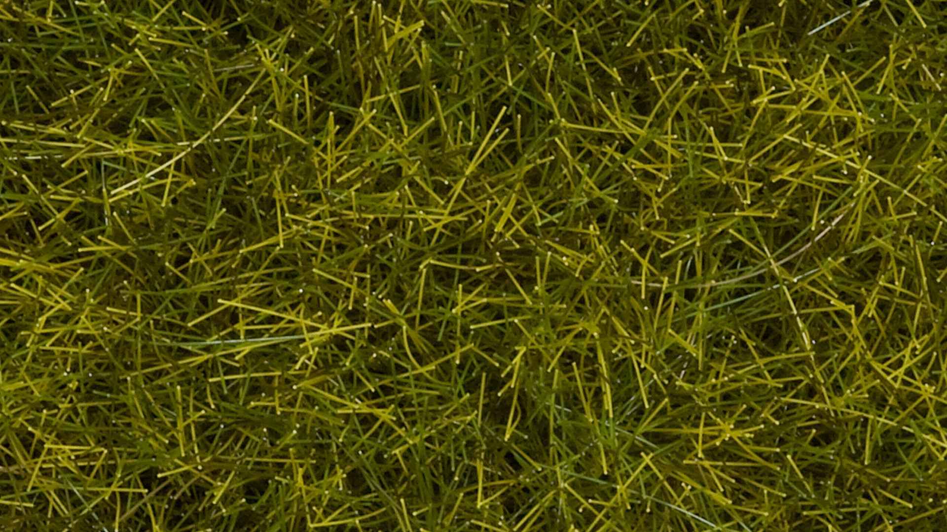 NOCH 07110 Wildgras XL "Wiese", 12 mm