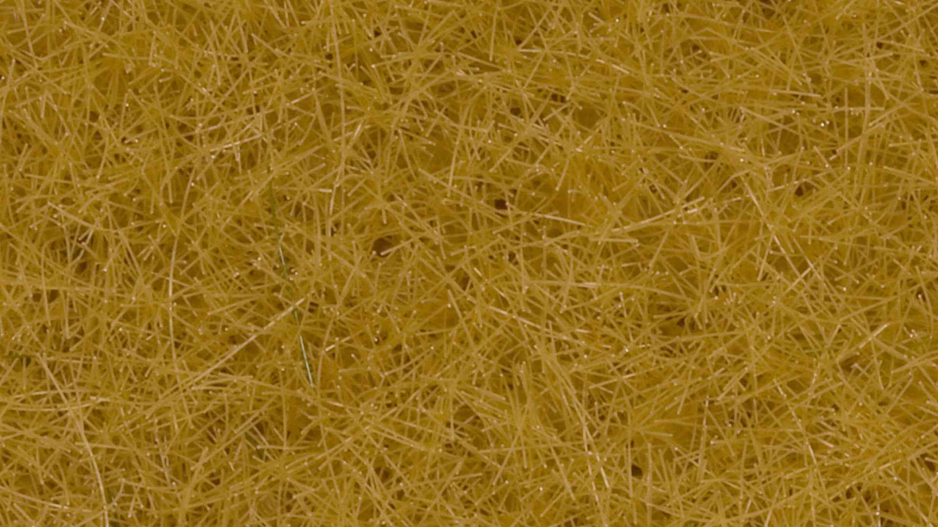 NOCH 07111 Wildgras XL beige, 12 mm