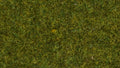 NOCH 07117 Wildgras "Wiese", 9 mm
