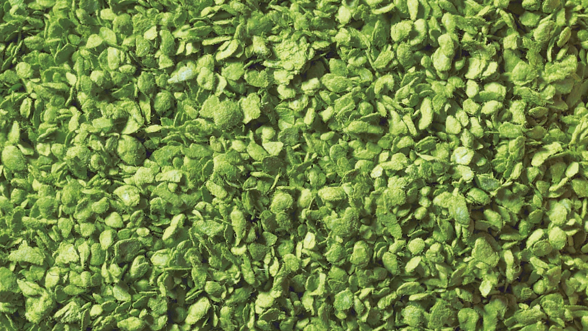 NOCH 07142 Laub, hellgrün