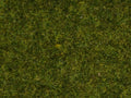 NOCH 08312 Streugras "Wiese"