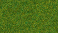 NOCH 08314 Streugras "Zierrasen", 2,5mm