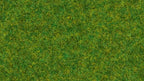 NOCH 08314 Streugras "Zierrasen", 2,5mm