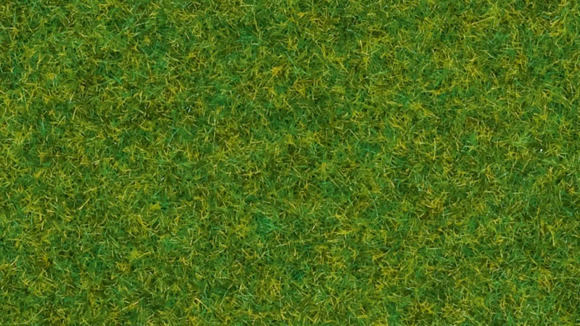 NOCH 08314 Streugras "Zierrasen", 2,5mm