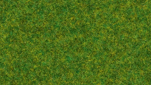 NOCH 08314 Streugras "Zierrasen", 2,5mm