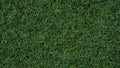 NOCH 08320 Streugras "Moorboden"