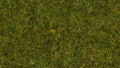 NOCH 08361 Streugras "Wiese"