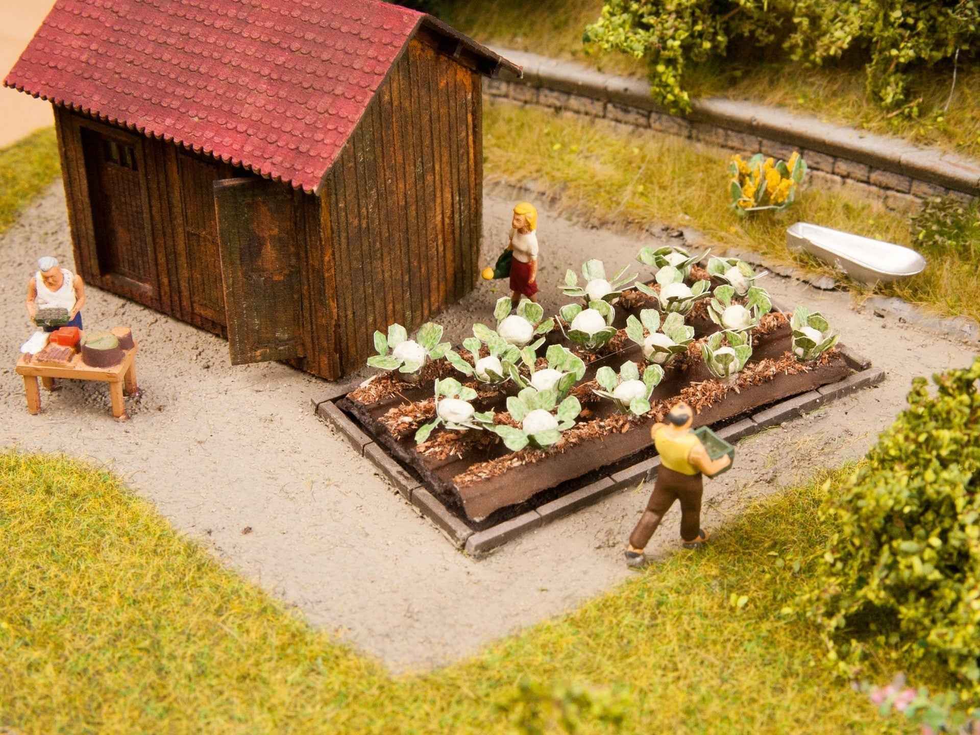 NOCH 13216 Blumenkohl