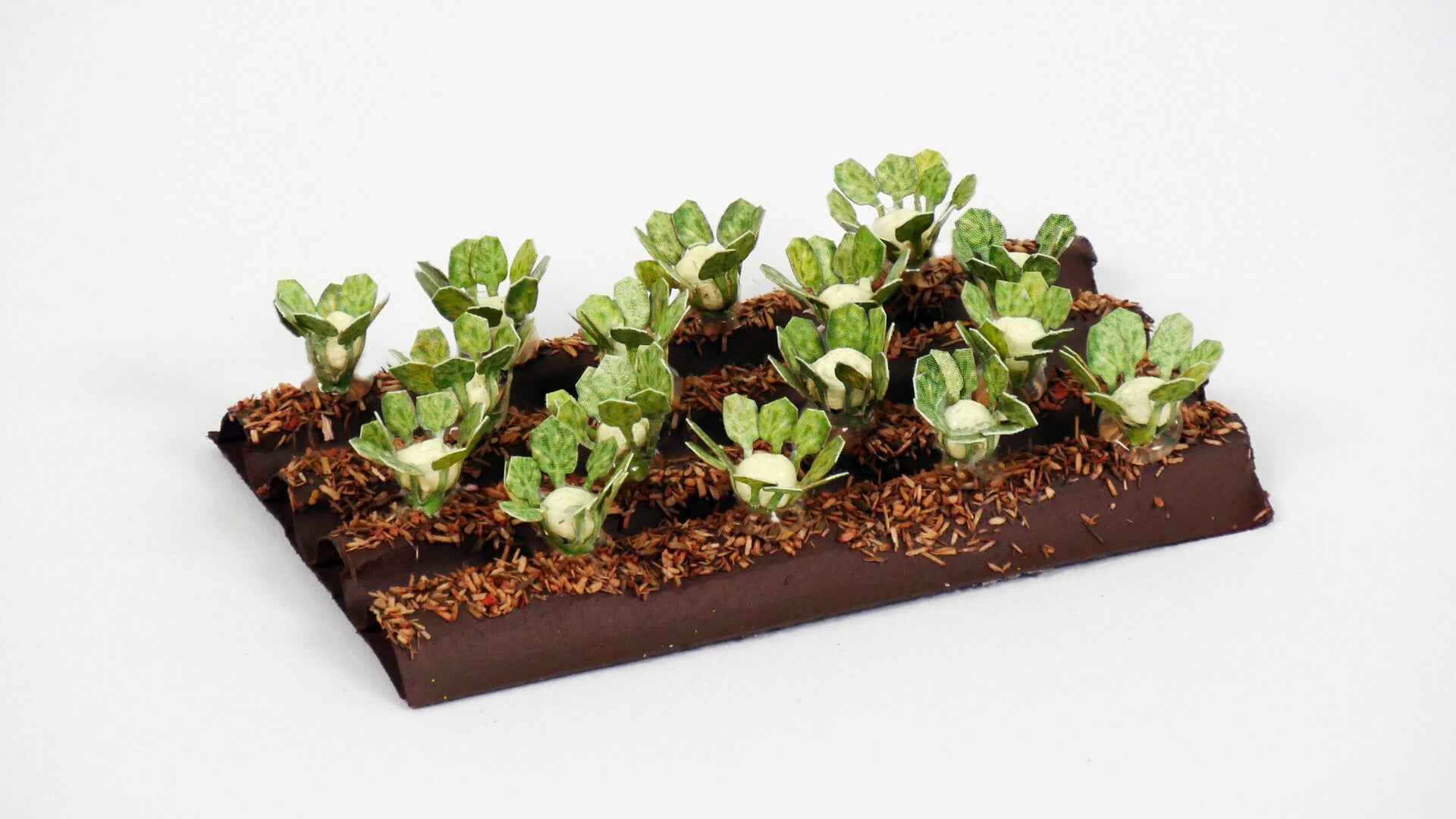 NOCH 13216 Blumenkohl