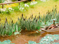 NOCH 14102 Schilf