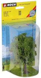 NOCH 21690 Hainbuche