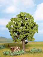 NOCH 21690 Hainbuche