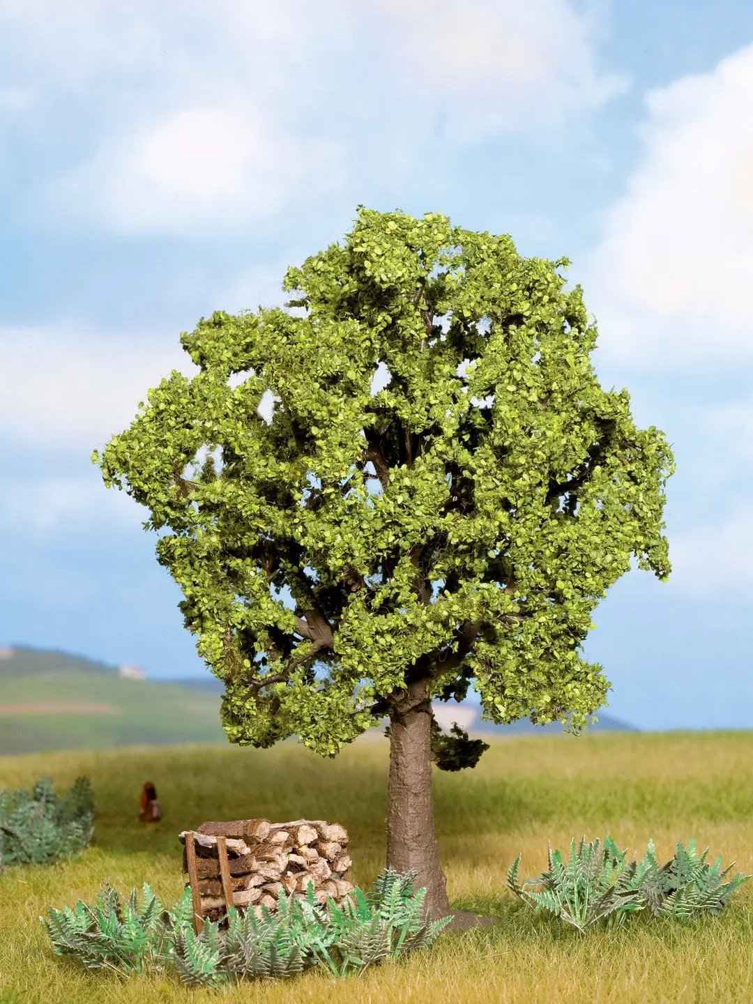 NOCH 21690 Hainbuche