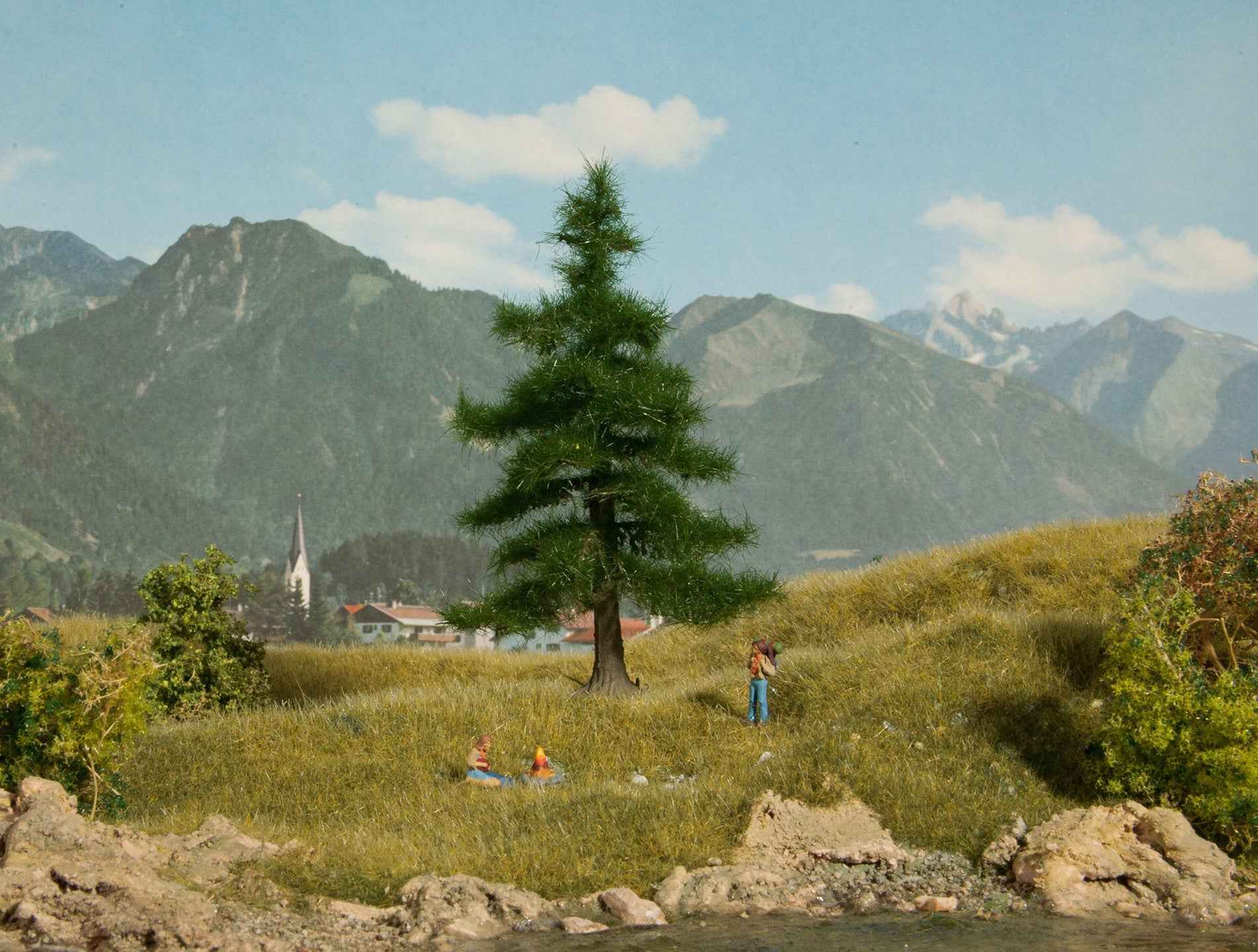 NOCH 21810 Nordmanntanne