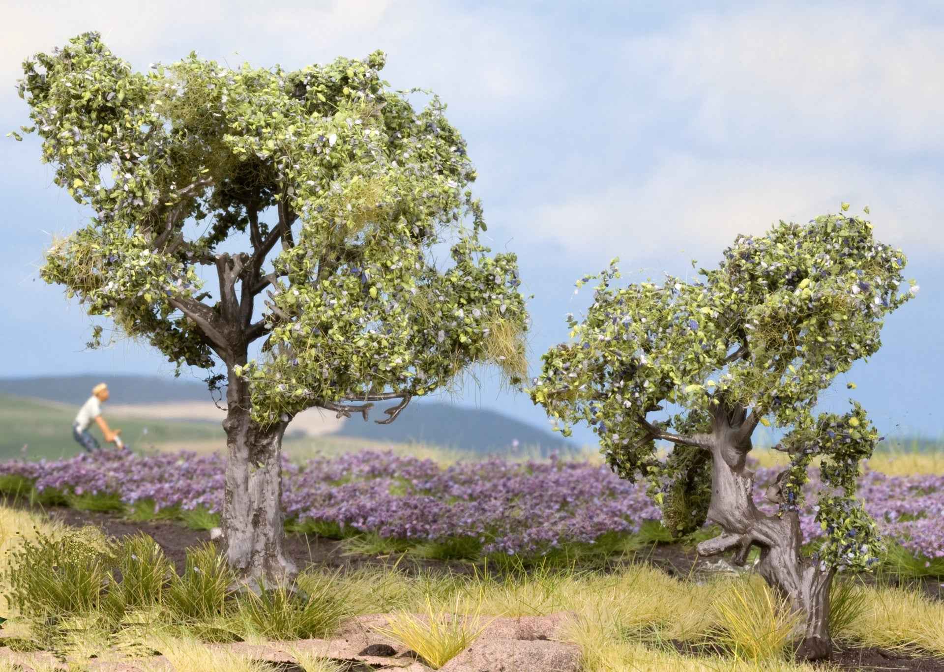 NOCH 21995 Olivenbäume